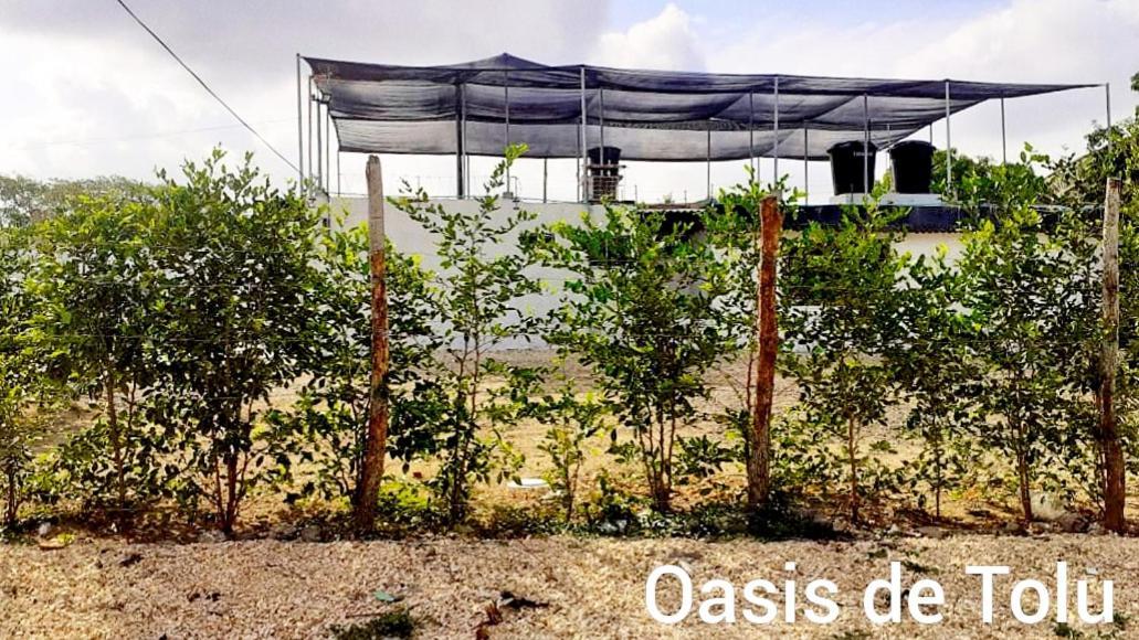 Oasis De Tolu Hotel Kültér fotó
