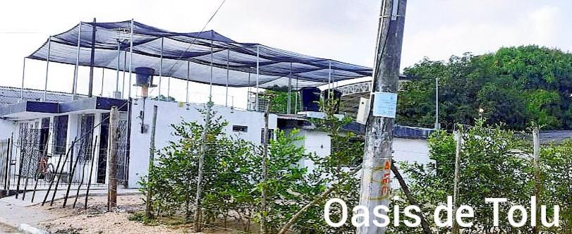 Oasis De Tolu Hotel Kültér fotó